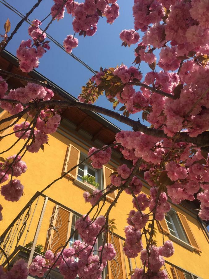 Liberty Room And Breakfast Borgo Val di Taro Buitenkant foto